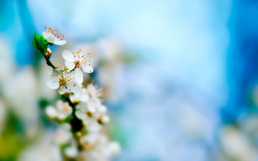 1075424 (a): :2560x1600
